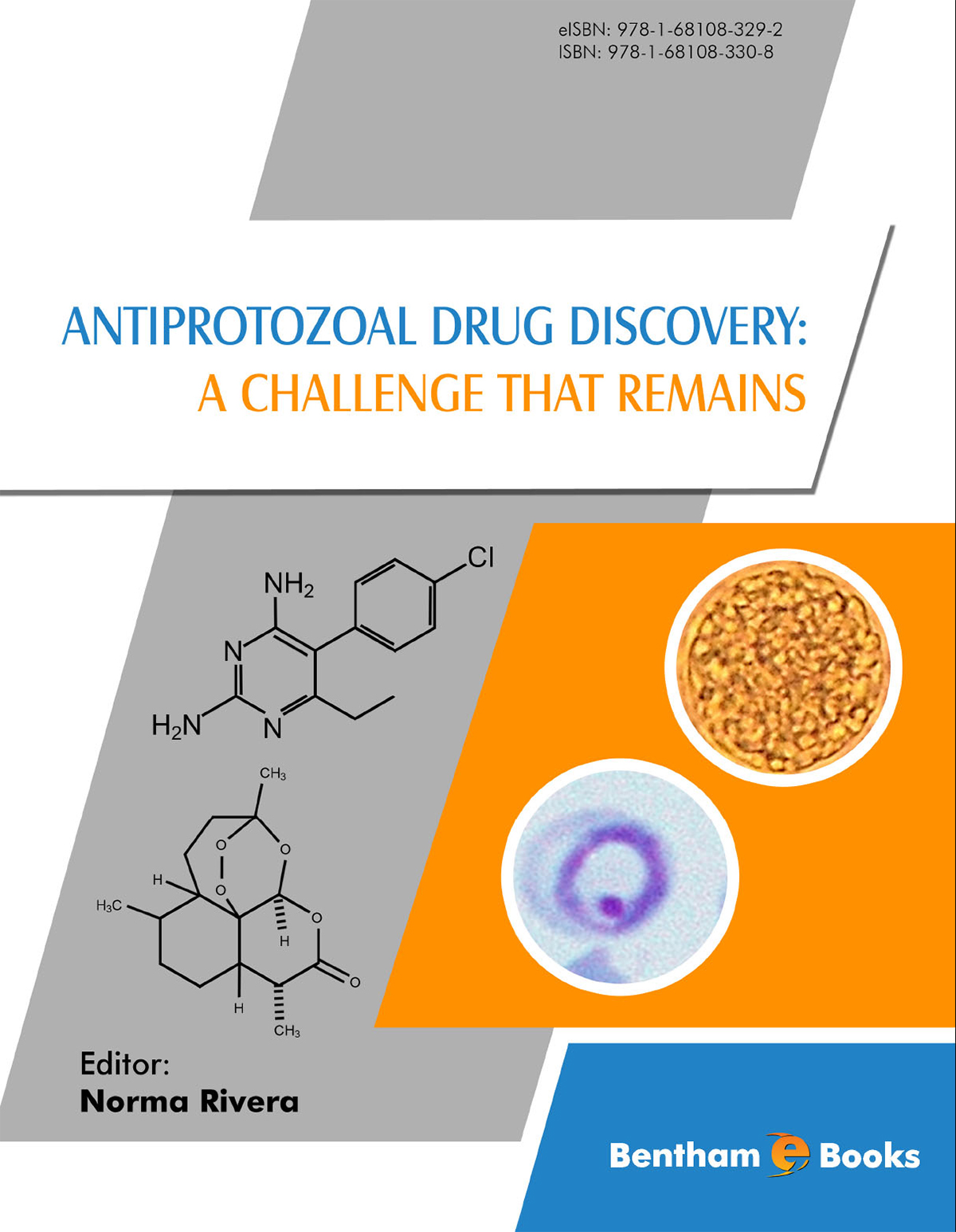 Antiprotozoal Drug Discovery: A... by: Norma Rivera-Fernández -  9781681083292 | RedShelf