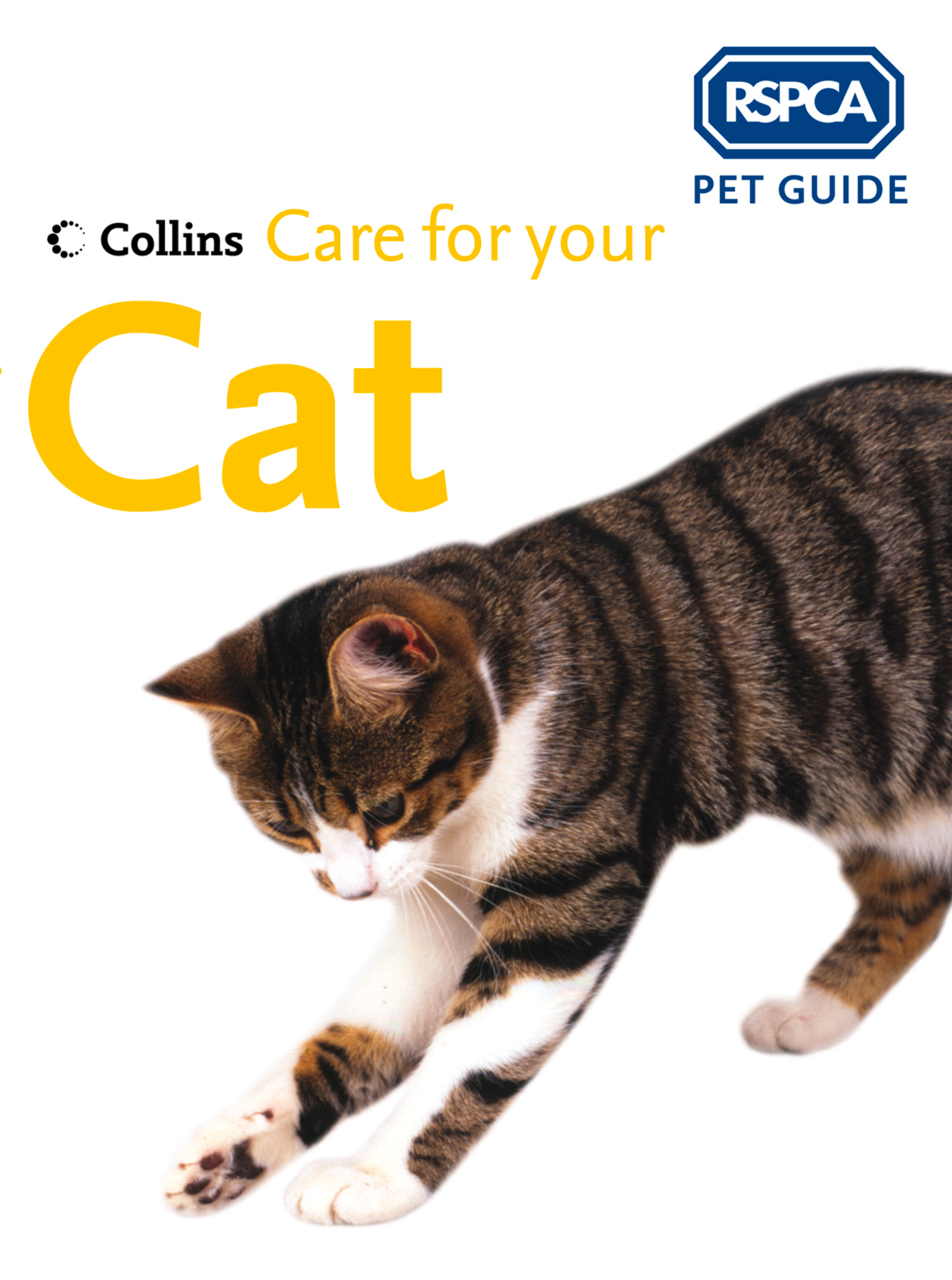 Pets guide. RSPCA особенности. RSPCA. Cat petting Guide.
