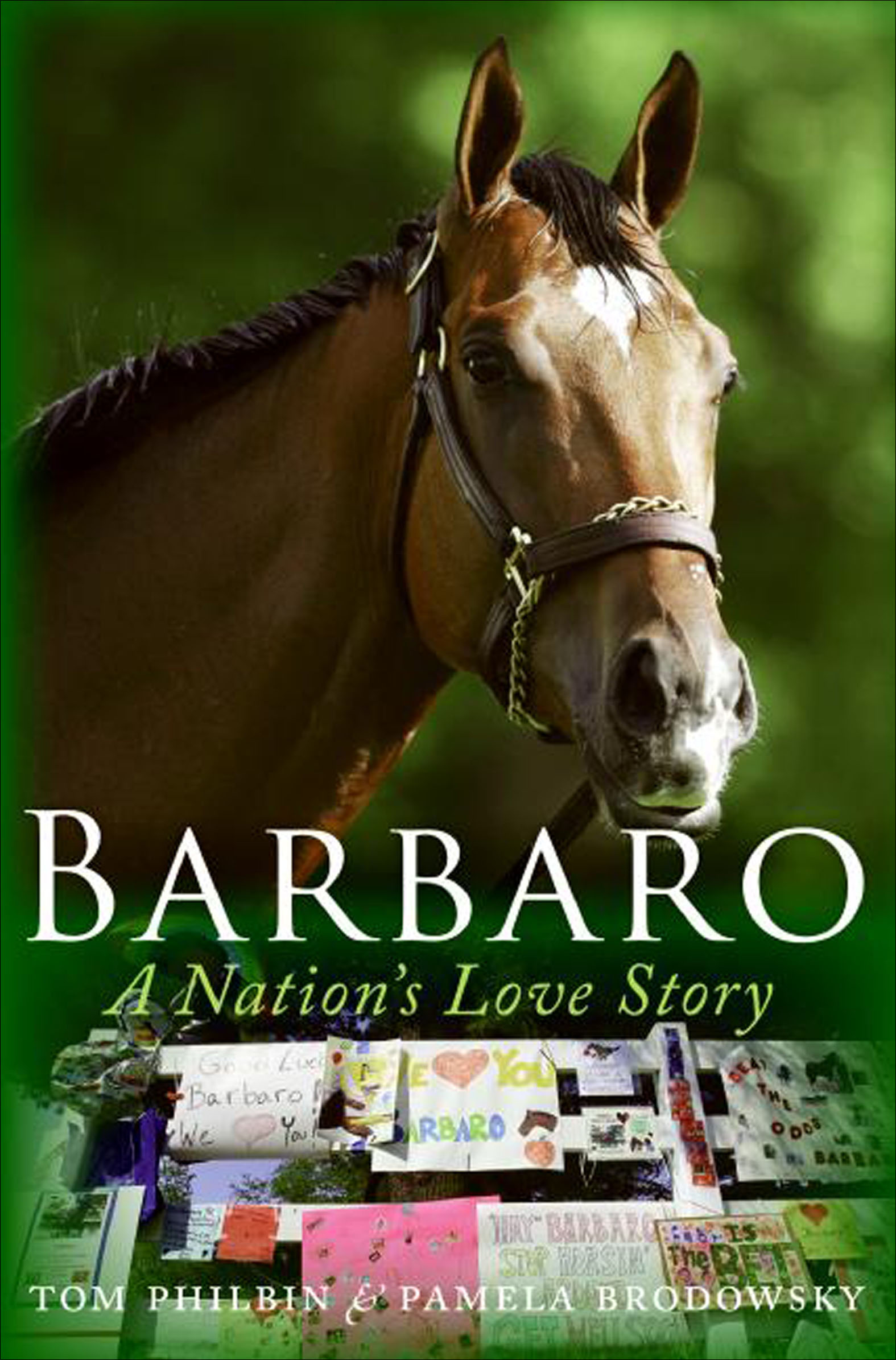 Cover image for Barbaro