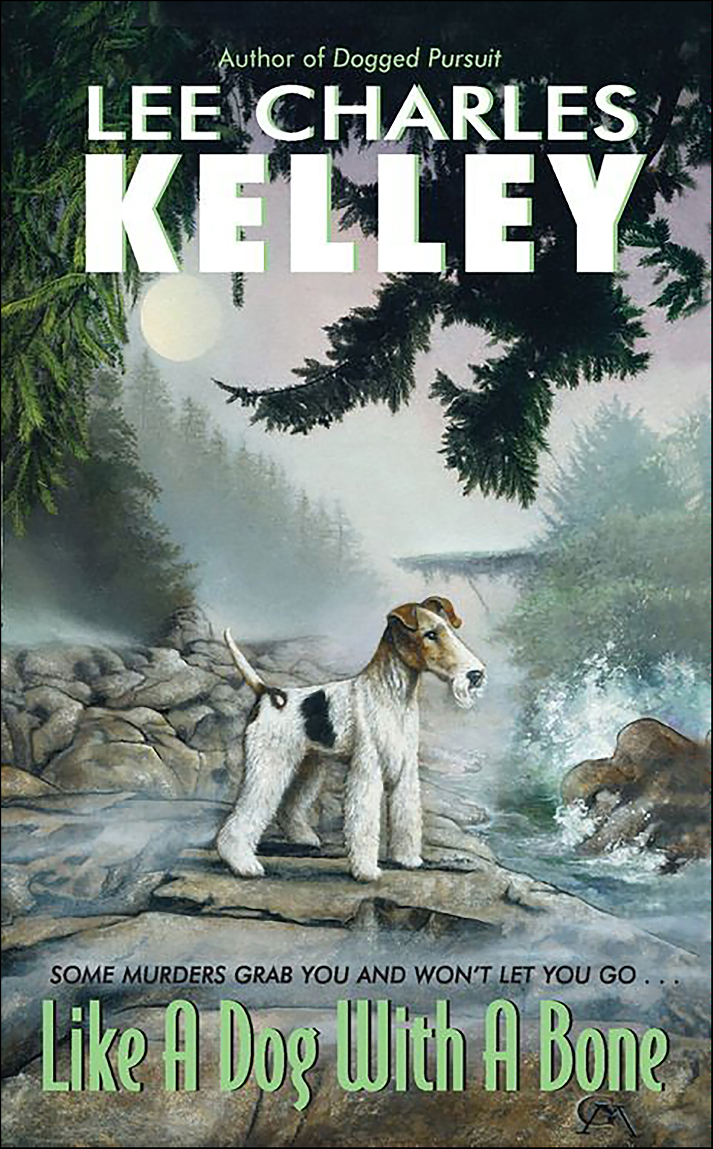 Cover image for Like a Dog With a Bone