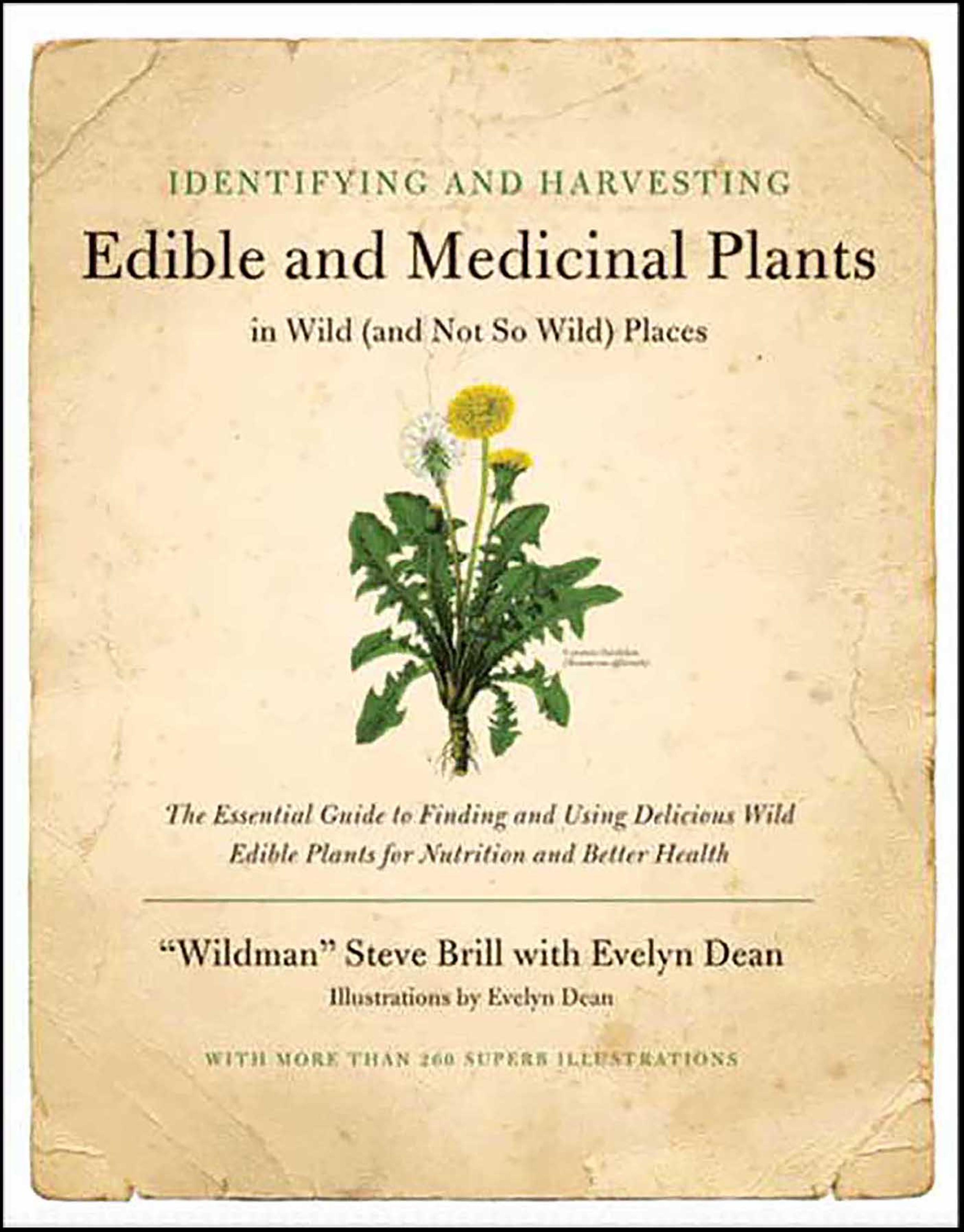 Cover image for Identifying & Harvesting Edible and Medicinal Plants (And Not So Wild Places)