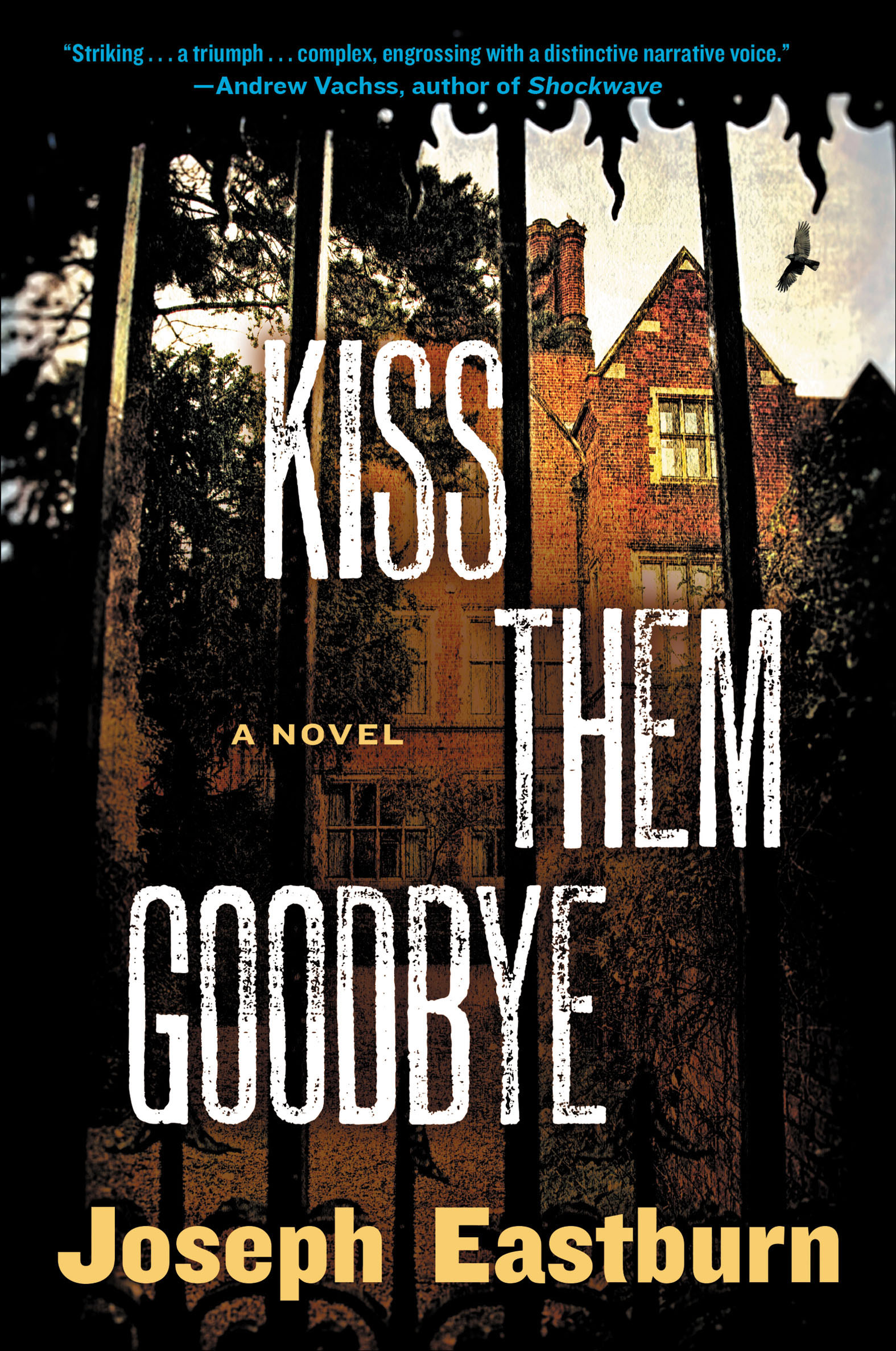 Cover image for Kiss Them Goodbye