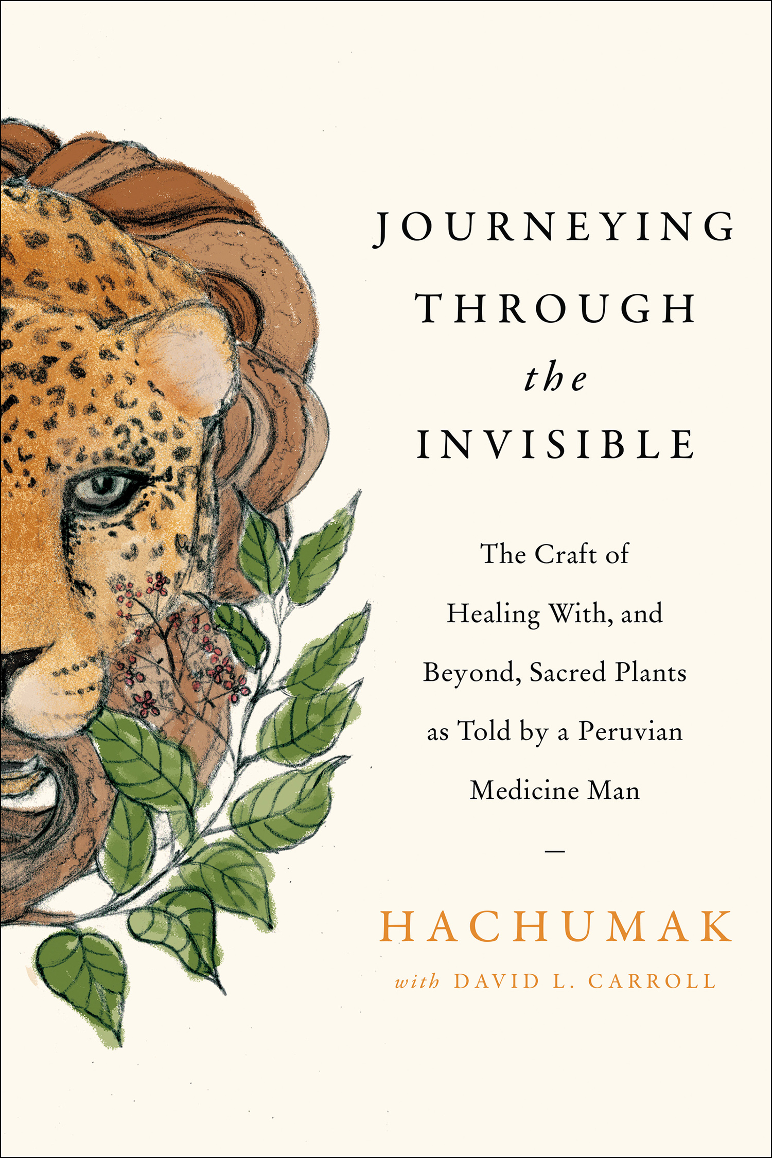 Cover image for Journeying Through the Invisible