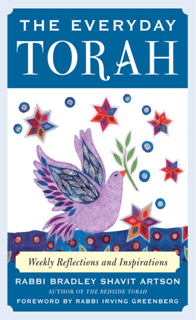 Cover image for The Everyday Torah