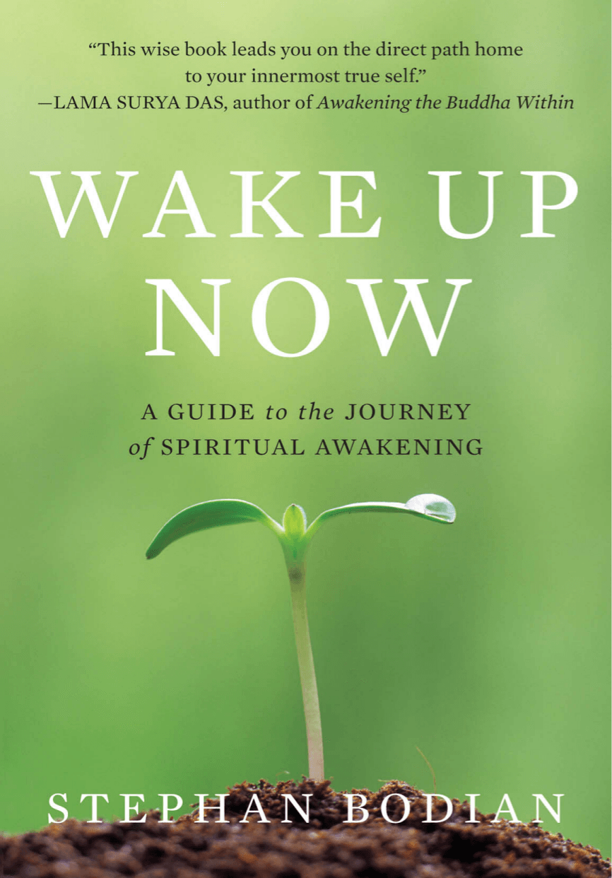 Cover image for Wake Up Now