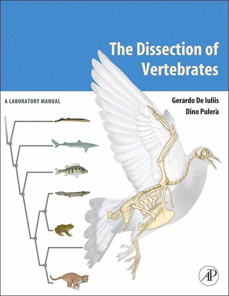 The Dissection of Vertebrates by: Gerardo De Iuliis
