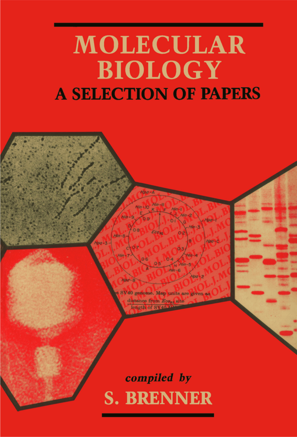 Cover image for Molecular Biology