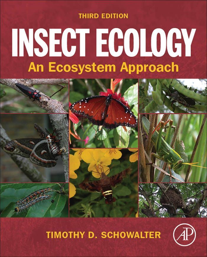 Cover image for Insect Ecology