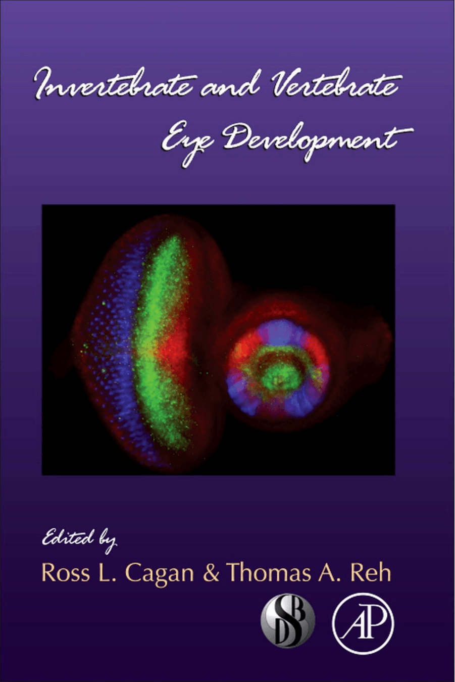 Cover image for Invertebrate and Vertebrate Eye Development