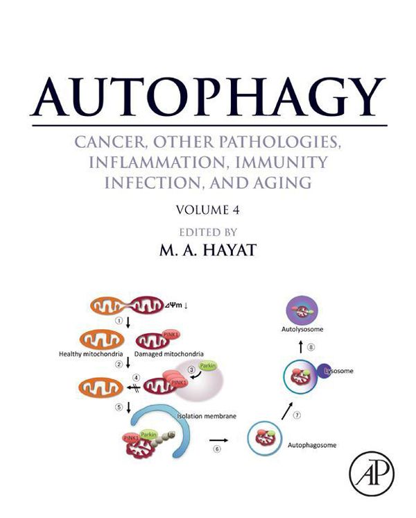 Cover image for Autophagy: Cancer, Other Pathologies, Inflammation, Immunity, Infection, and Aging