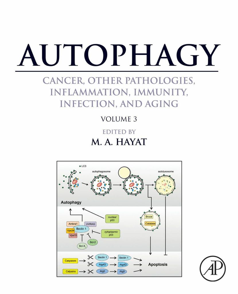 Cover image for Autophagy: Cancer, Other Pathologies, Inflammation, Immunity, Infection, and Aging