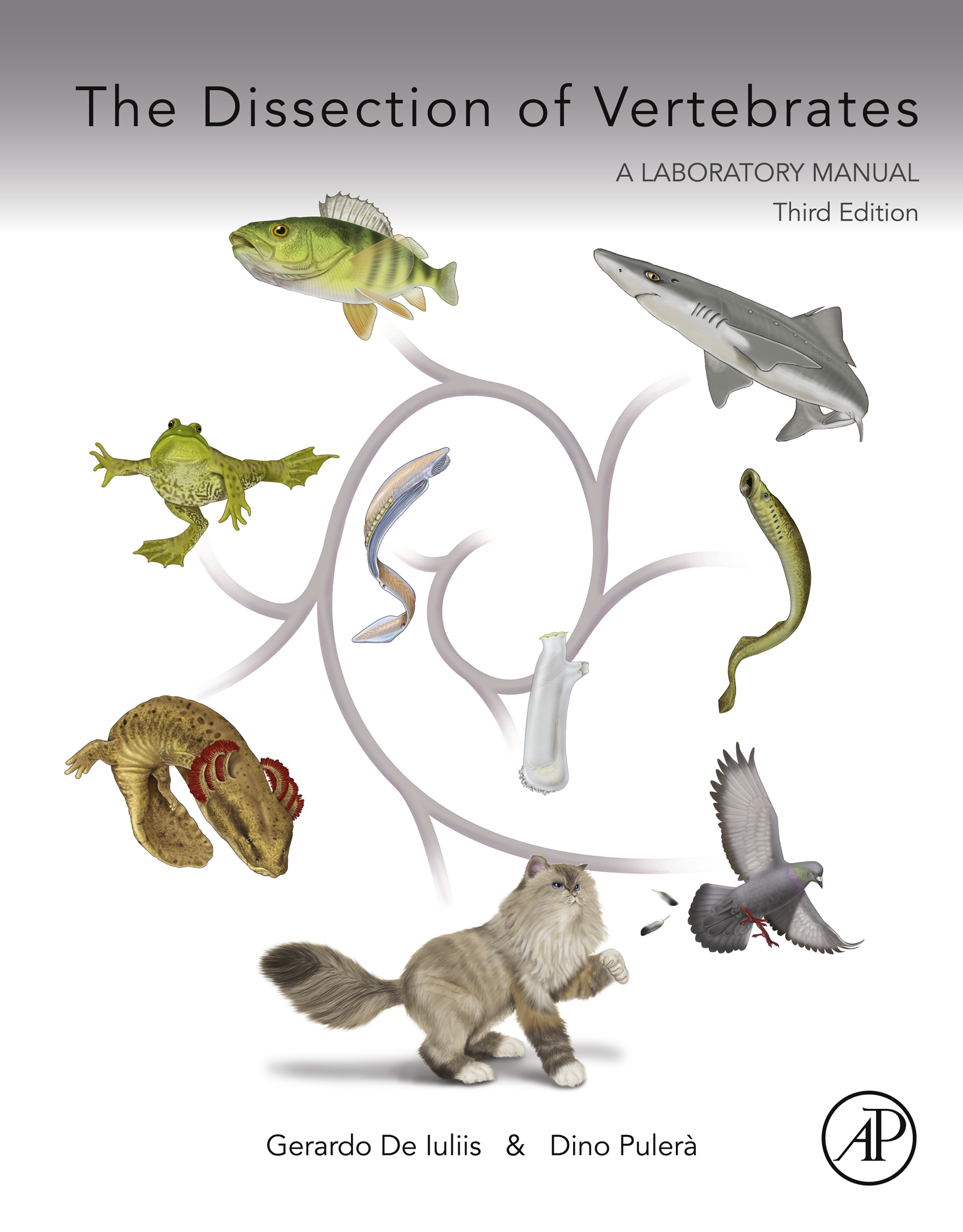Cover image for The Dissection of Vertebrates