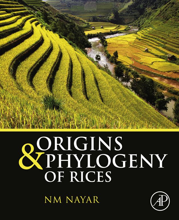 Cover image for Origins and Phylogeny of Rices