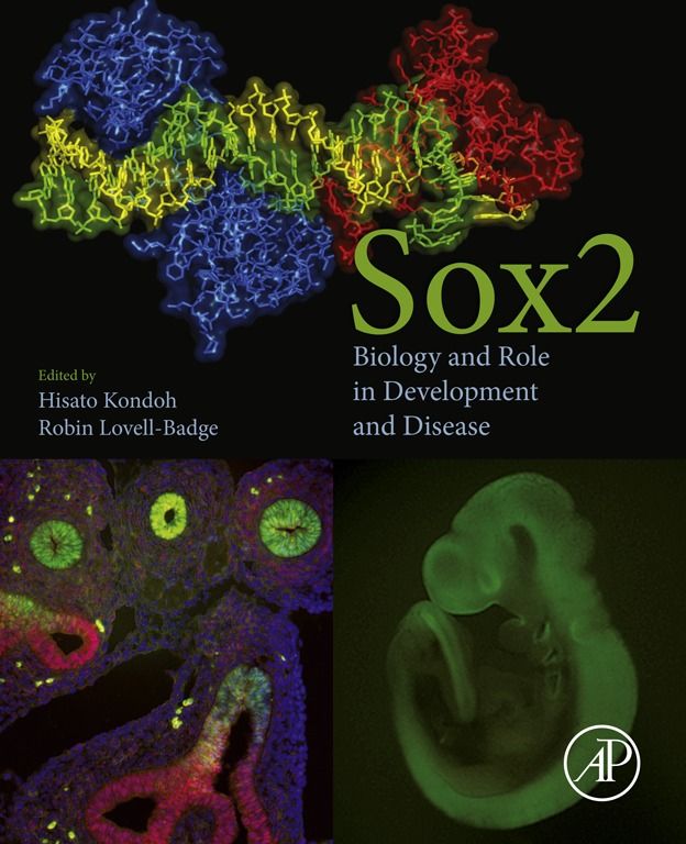 Cover image for Sox2
