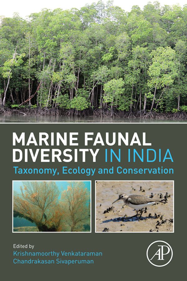 Cover image for Marine Faunal Diversity in India