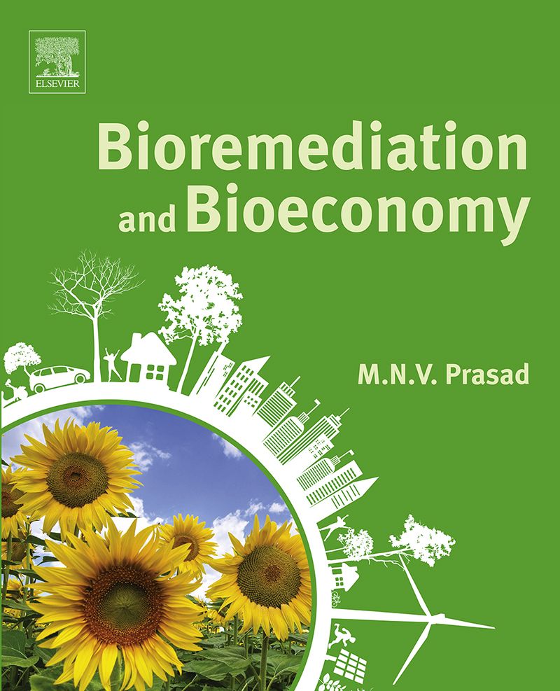 Cover image for Bioremediation and Bioeconomy
