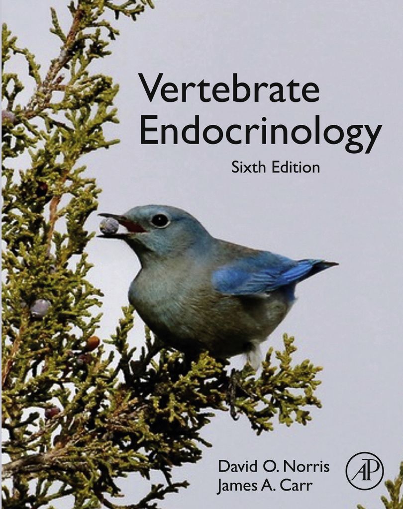 Cover image for Vertebrate Endocrinology