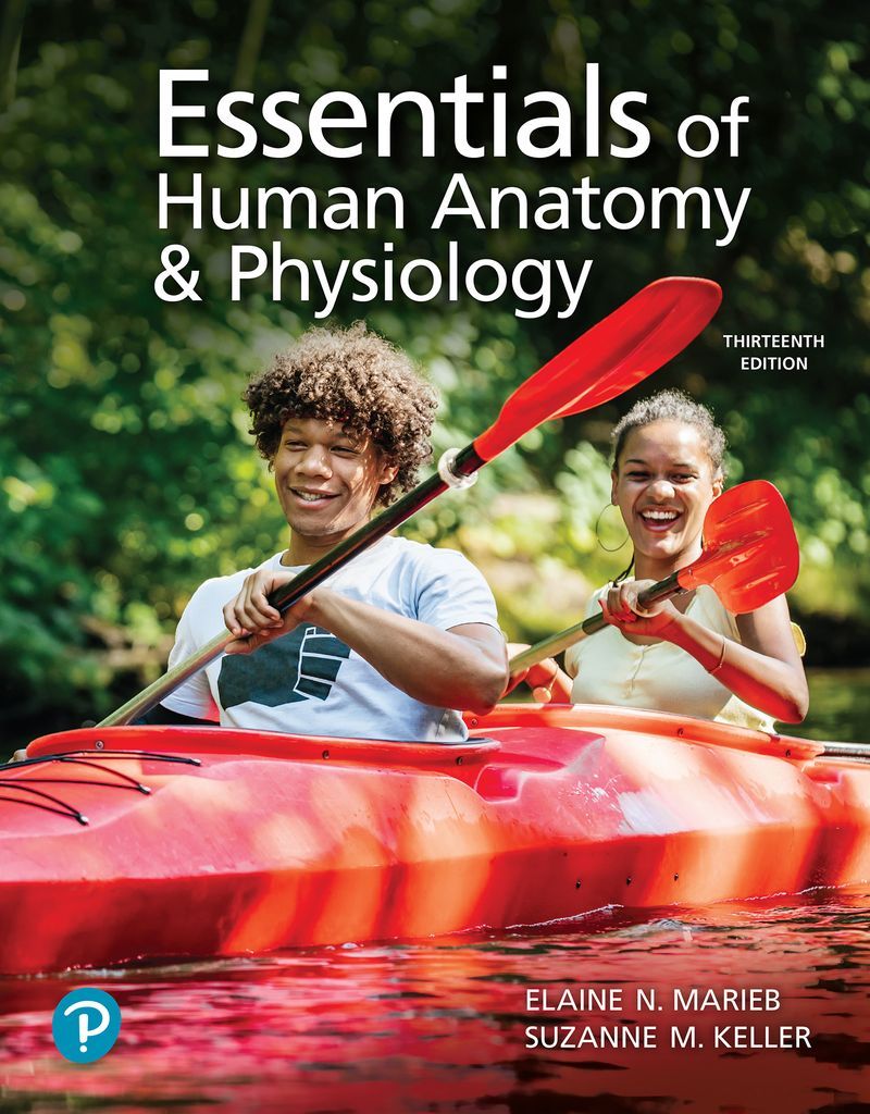 Essentials of Human Anatomy & Physiology