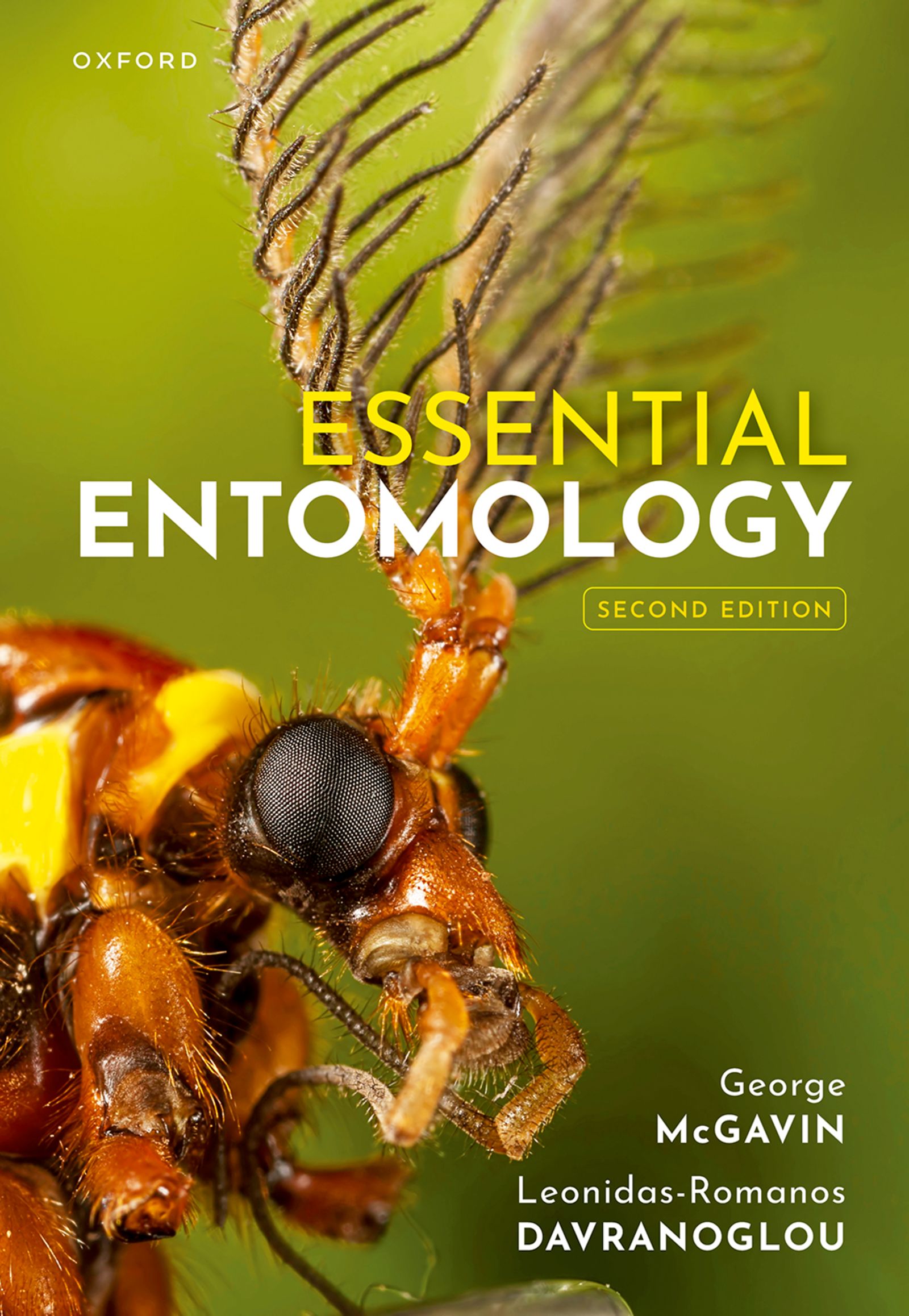 Essential Entomology by: George C. McGavin - 9780192654830 | RedShelf