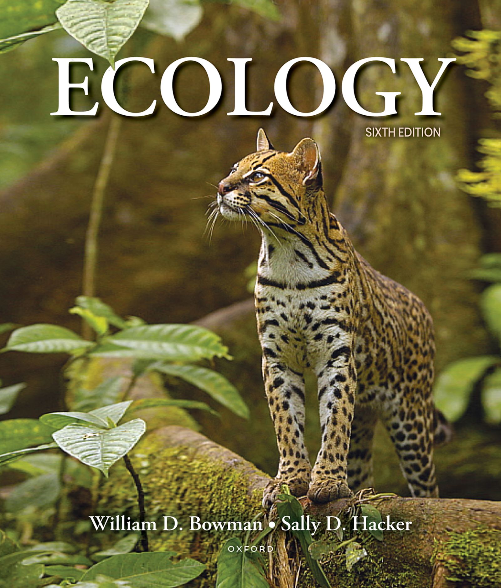 Ecology by: William Bowman - 9780197614082 | RedShelf