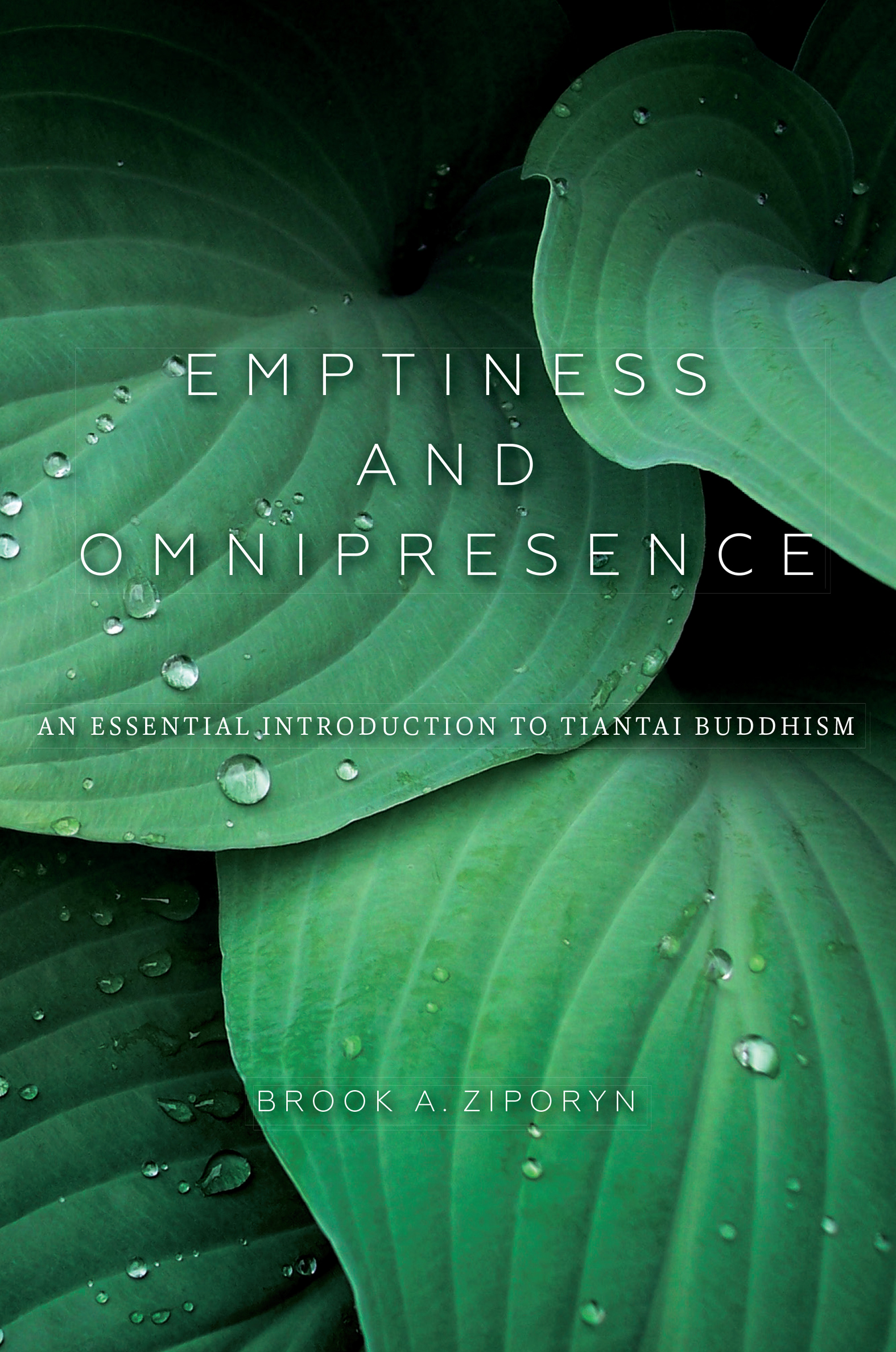 ISBN 9780253021205 product image for Emptiness and Omnipresence | upcitemdb.com
