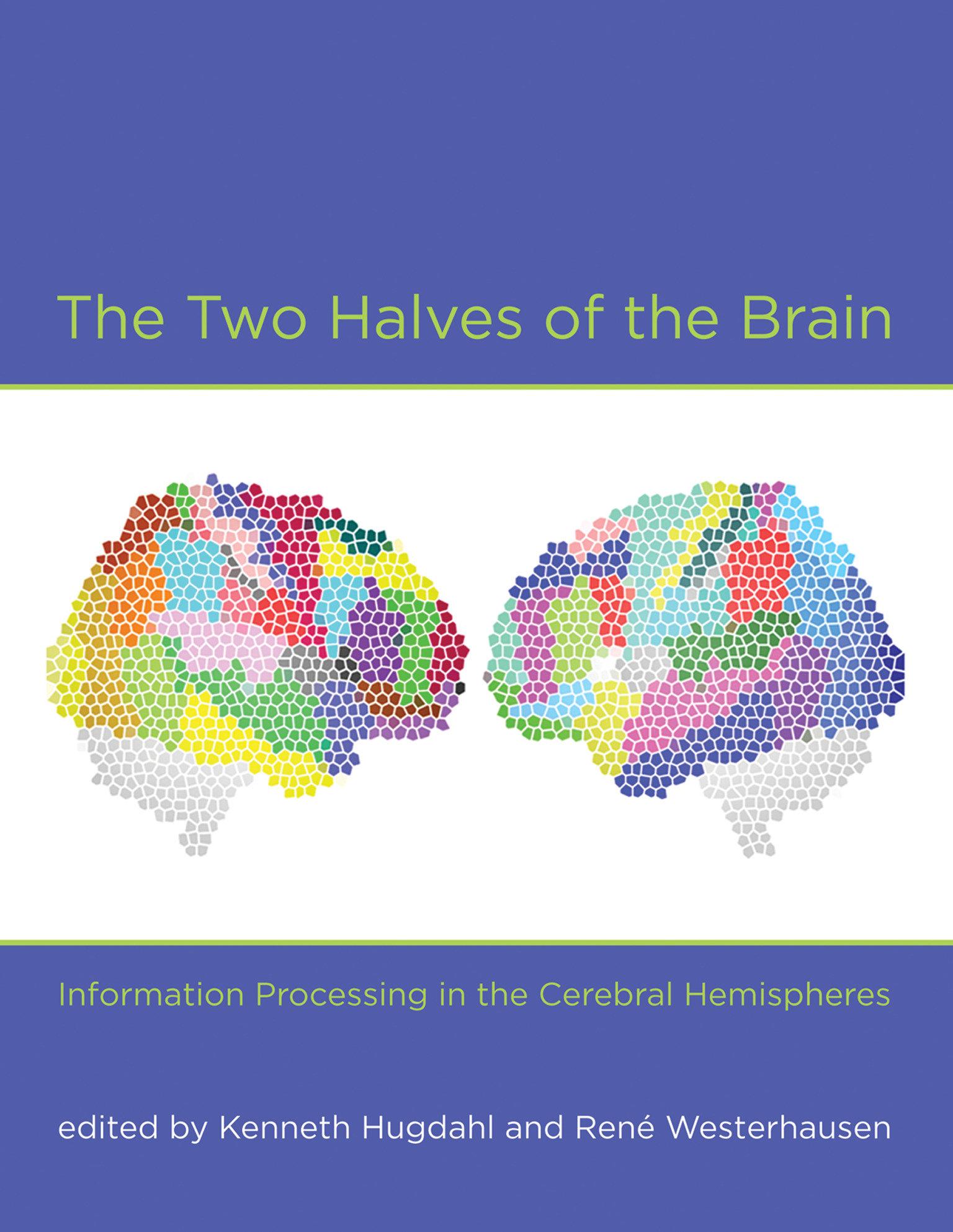 Cover image for The Two Halves of the Brain