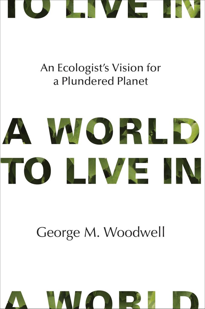 Cover image for A World to Live In