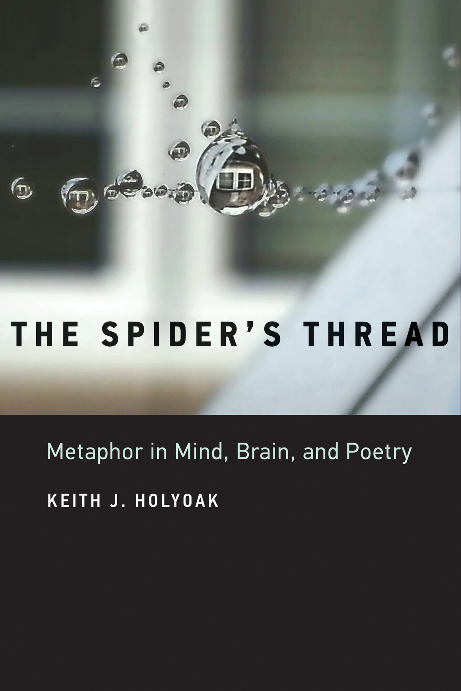 Cover image for The Spider's Thread