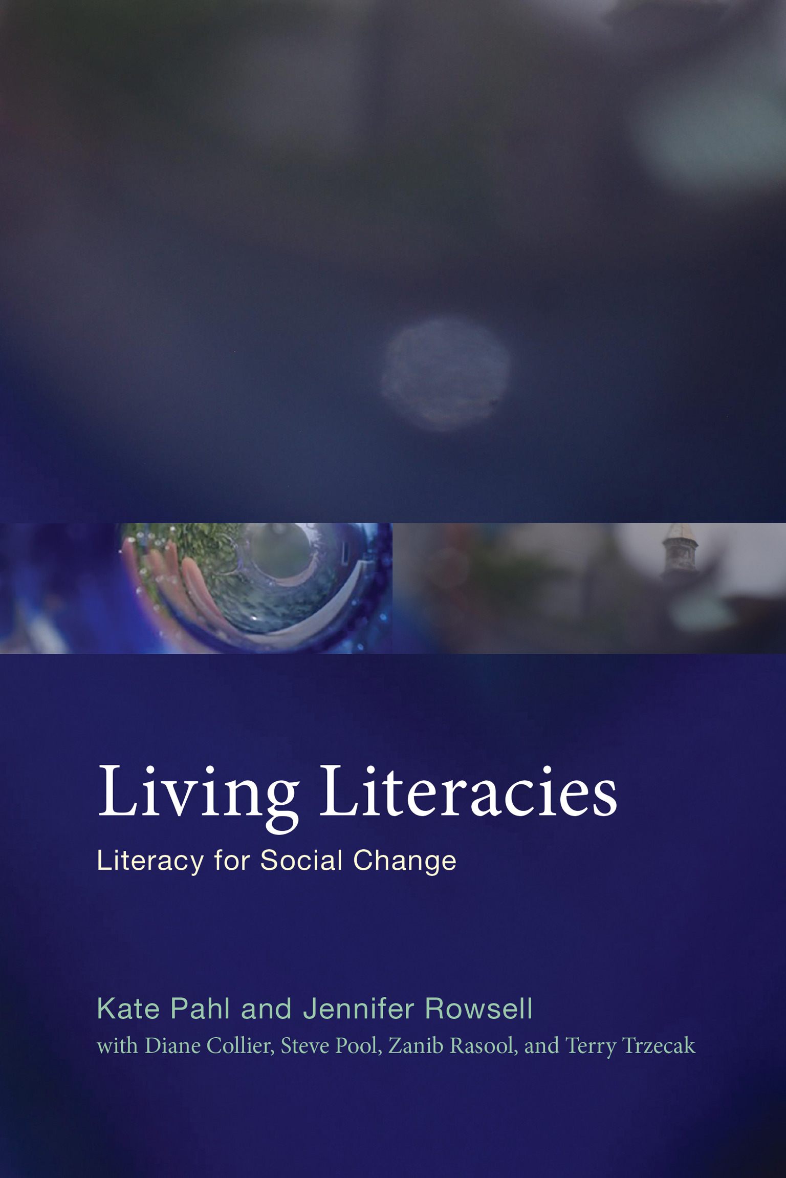 Cover image for Living Literacies