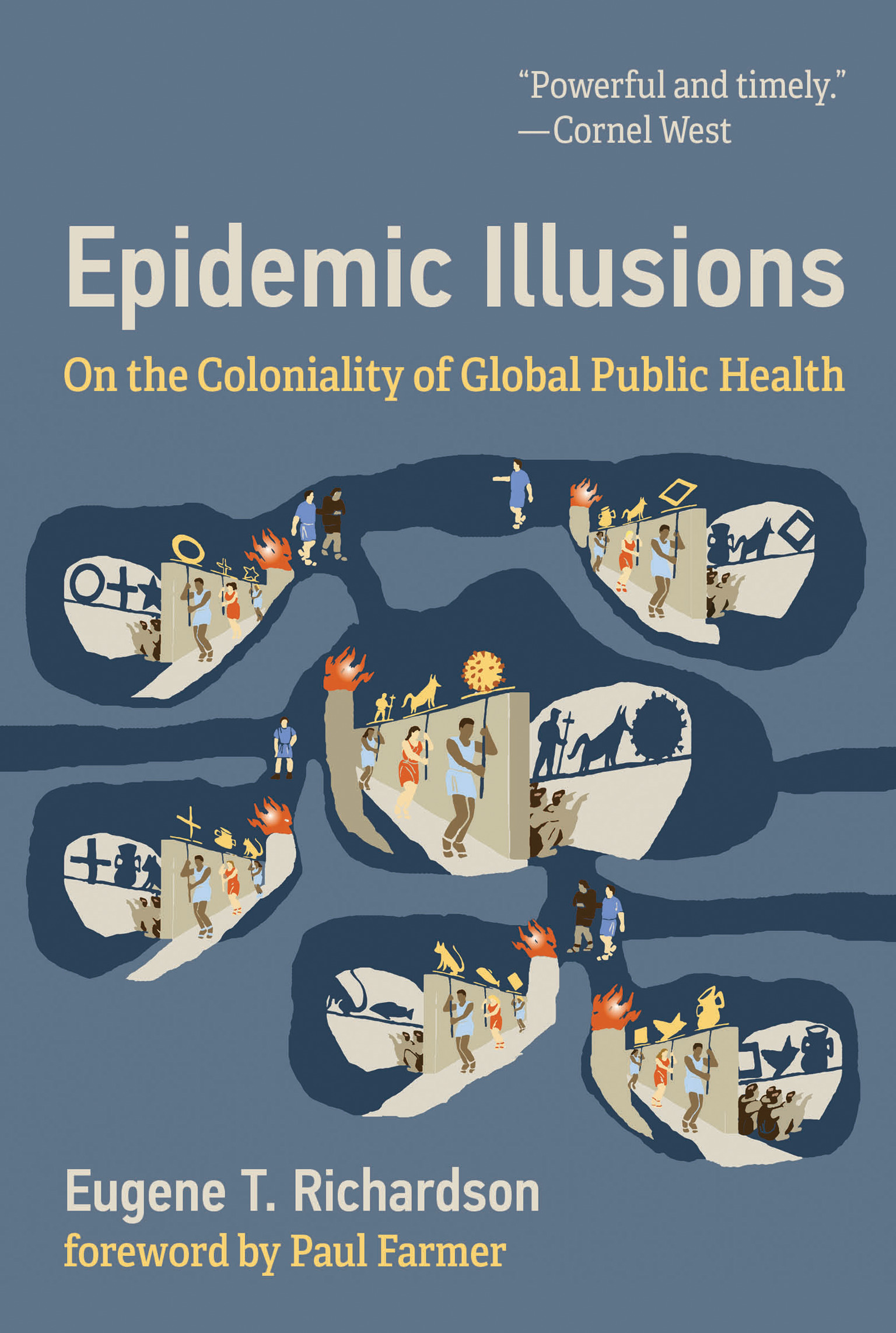 Cover image for Epidemic Illusions