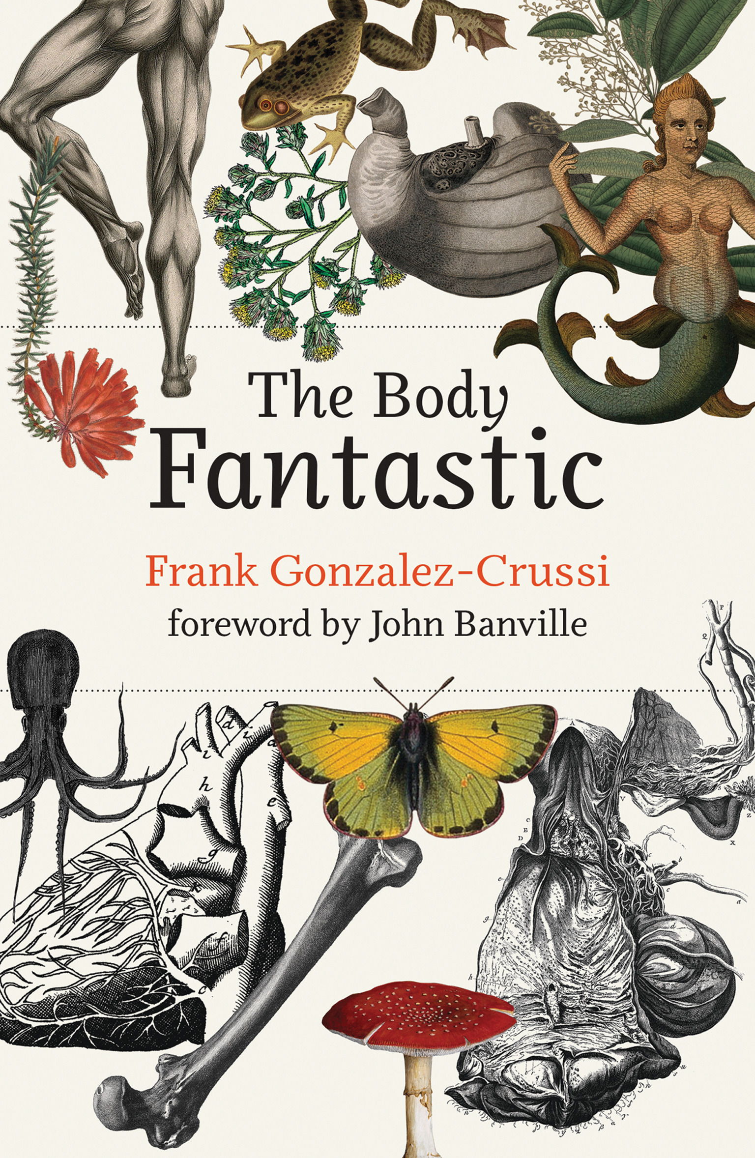 Cover image for The Body Fantastic