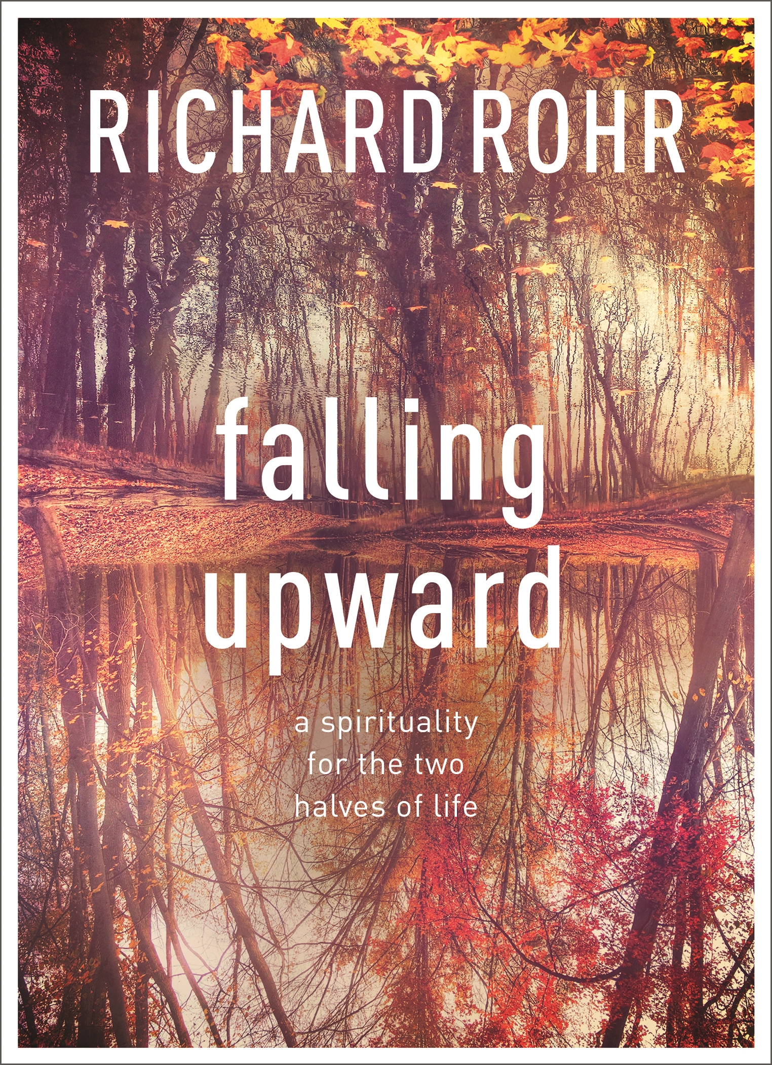 Cover image for Falling Upward