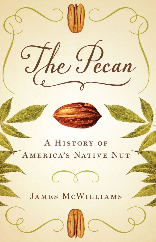 Cover image for The Pecan