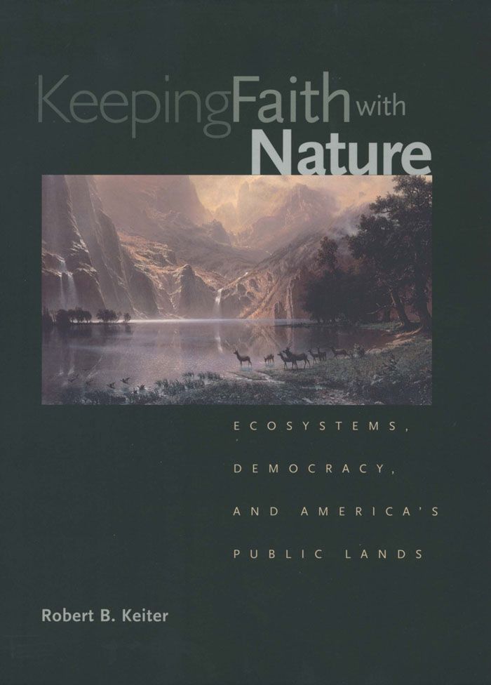 Cover image for Keeping Faith with Nature