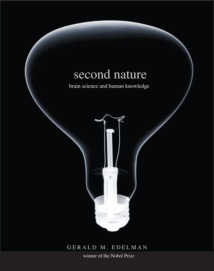 Cover image for Second Nature