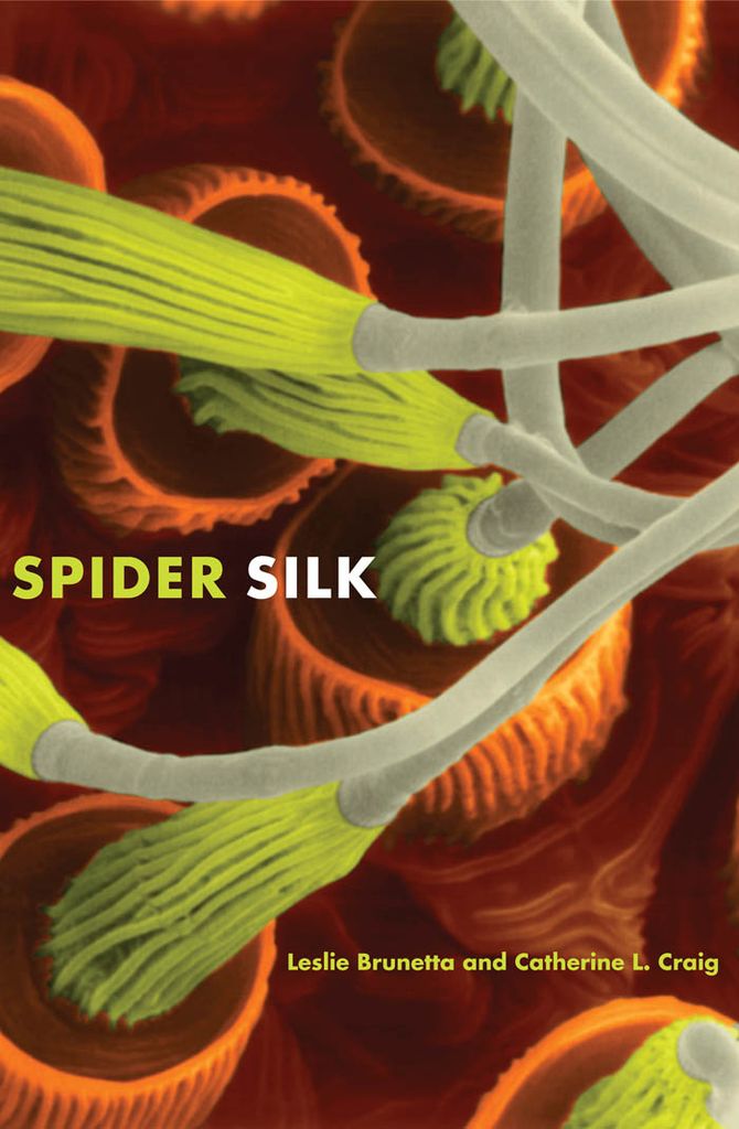 Cover image for Spider Silk