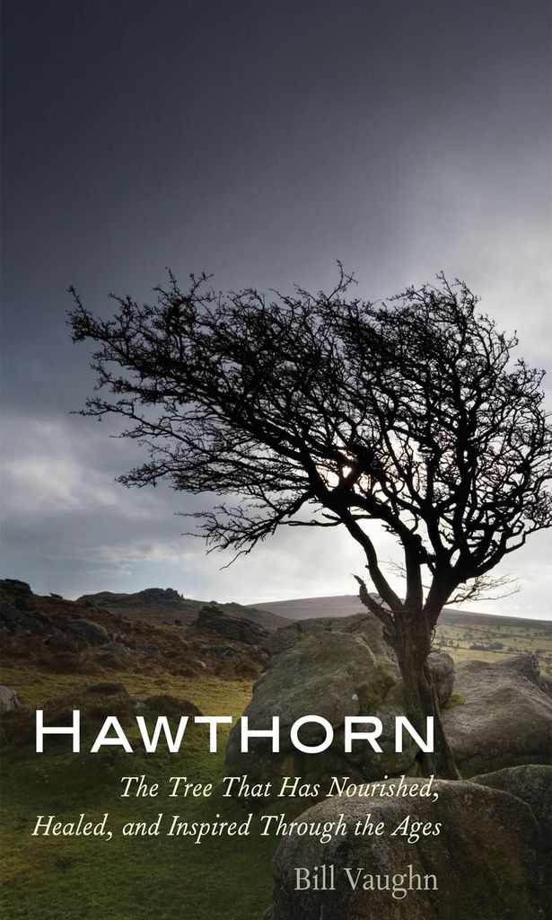 Cover image for Hawthorn