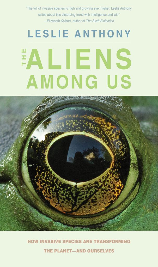 Cover image for The Aliens Among Us