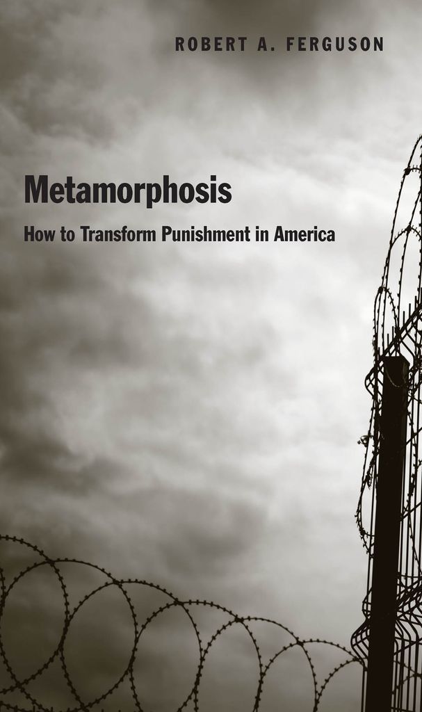 Cover image for Metamorphosis
