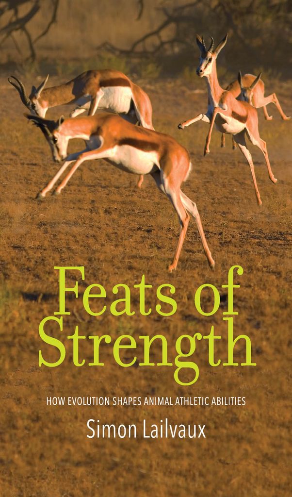 Cover image for Feats of Strength