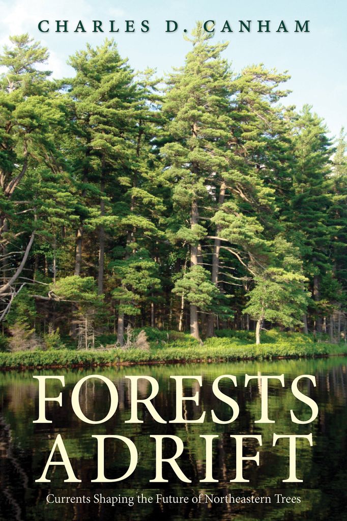 Cover image for Forests Adrift