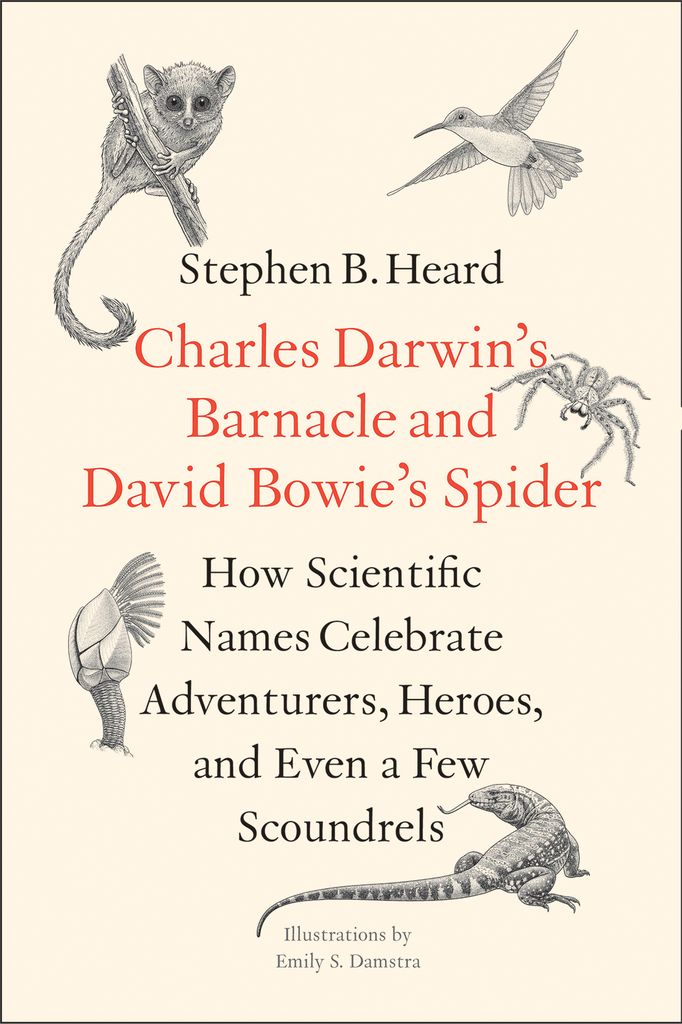 Cover image for Charles Darwins Barnacle and David Bowies Spider