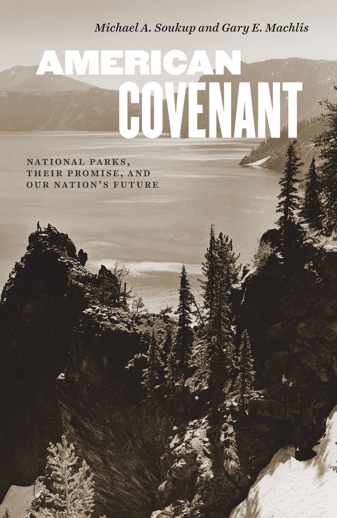 Cover image for American Covenant