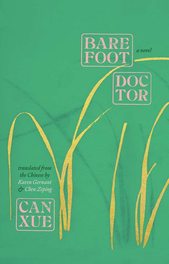 Cover image for Barefoot Doctor