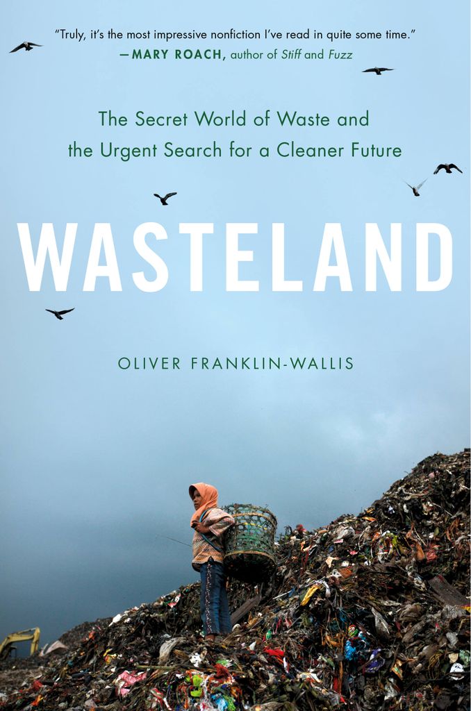 Cover image for Wasteland