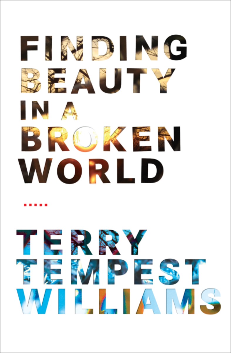 World is broken. Terryworld книга. Убежище книга Терри Темпест Уильямс.