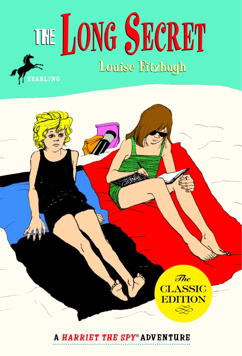 Cover image for The Long Secret