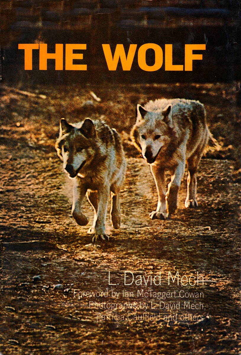 Вулф читать. David Mech Wolf.