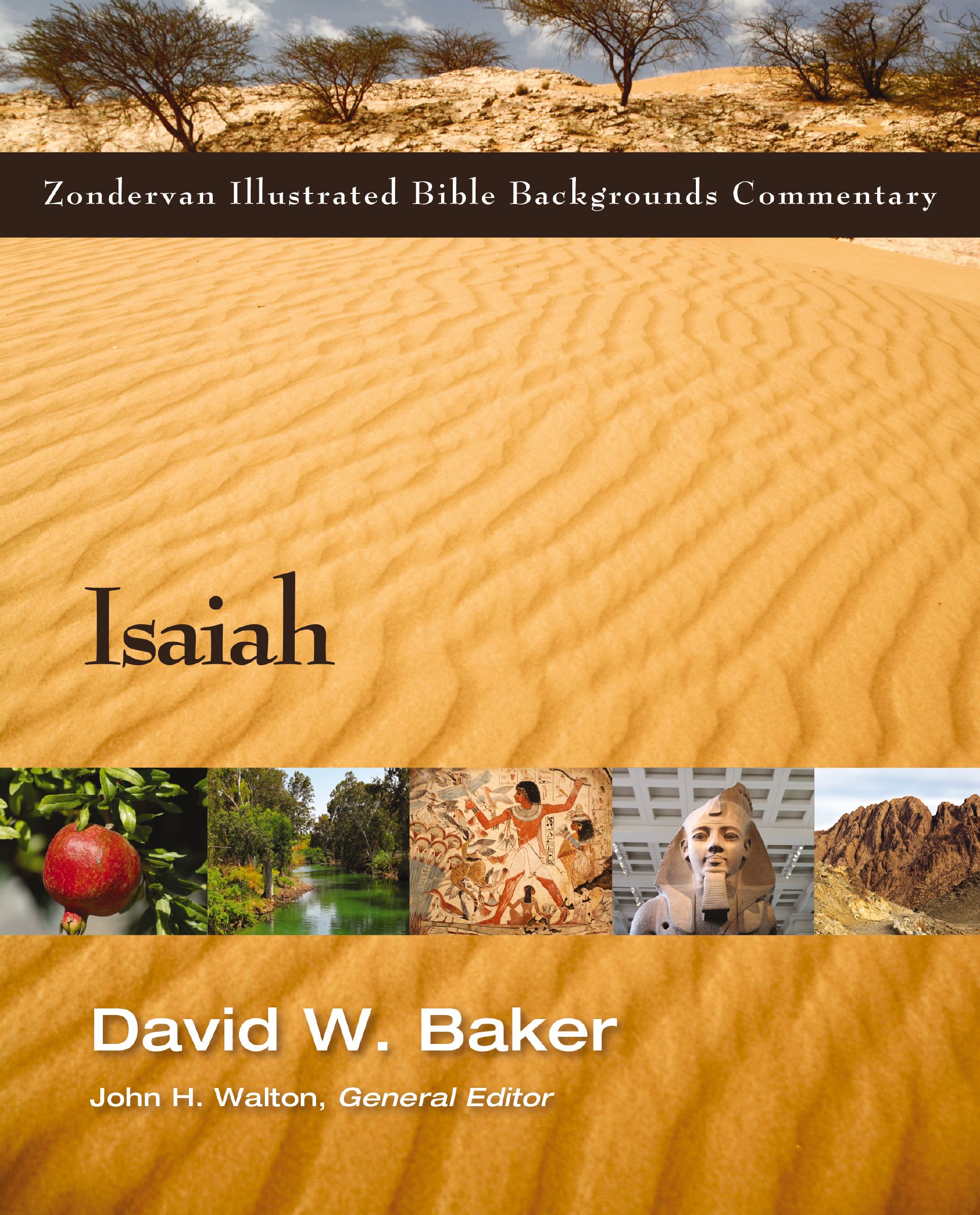 Cover image for Isaiah