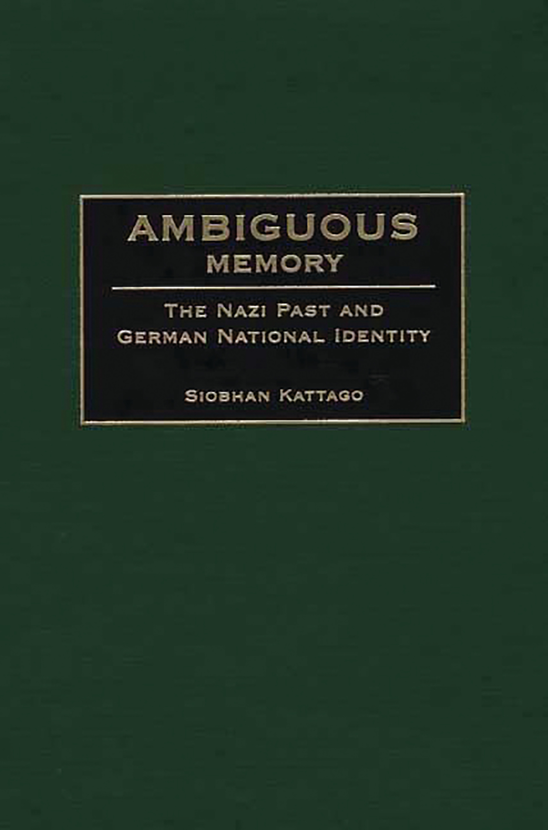 Cover image for Ambiguous Memory